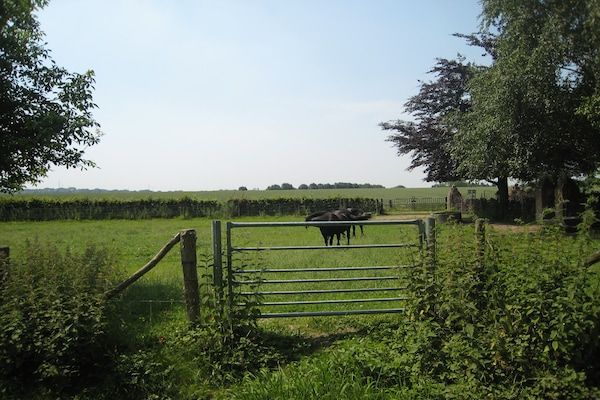 Meschermolen 5 in Mesch-Eijsden - Foto 30 van 30