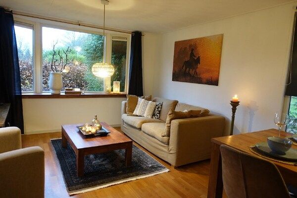 Woonkamer - Vechtdalchalet de Eik in Rheezerveen (2)
