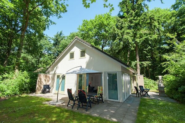 De Meerkoet in Oudemirdum - Foto 1 van 40