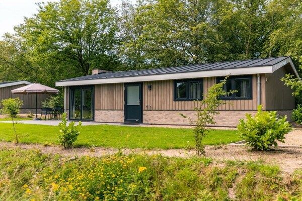 Untagged - 781389 in Drenthe (2)