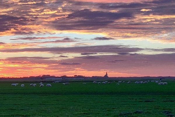 Kustpark Texel 6 in De Koog - Foto 40 van 40