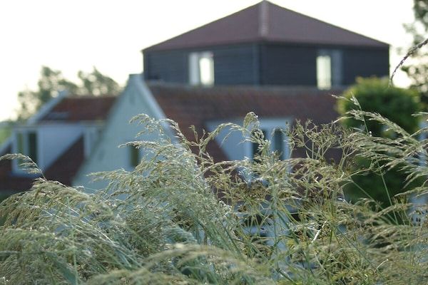 Untagged - Vakantiehuis in Warder met zwembad in Warder (2)