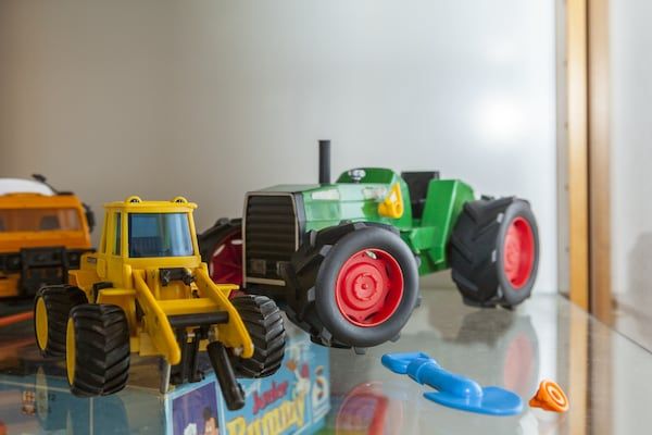 Kleine Vos in Nunspeet - Foto 38 van 38