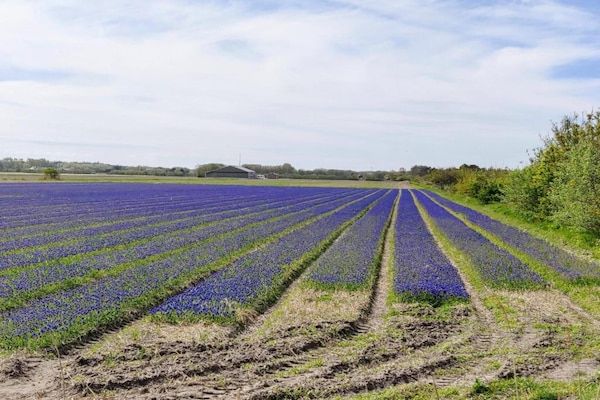 Vakantiepark de Krim 2 in De Cocksdorp Texel - Foto 40 van 40