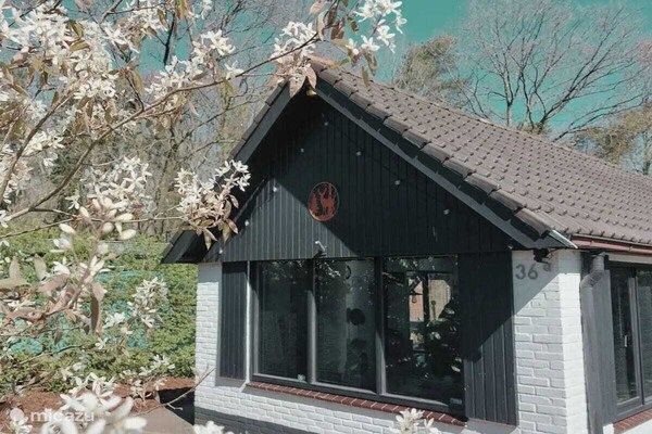 Untagged - Oudveluwe - vakantiehuisje - bos in Gelderland (2)