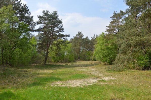 Dapama in Beerze - Foto 40 van 40