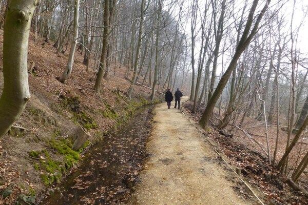 De Riethorst 2 in Plasmolen - Foto 39 van 39