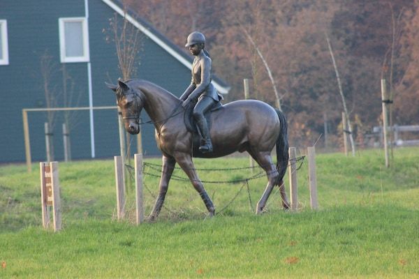 Vakantiepark Horsetellerie 4 in Hardenberg (rheezerveen) - Foto 40 van 40