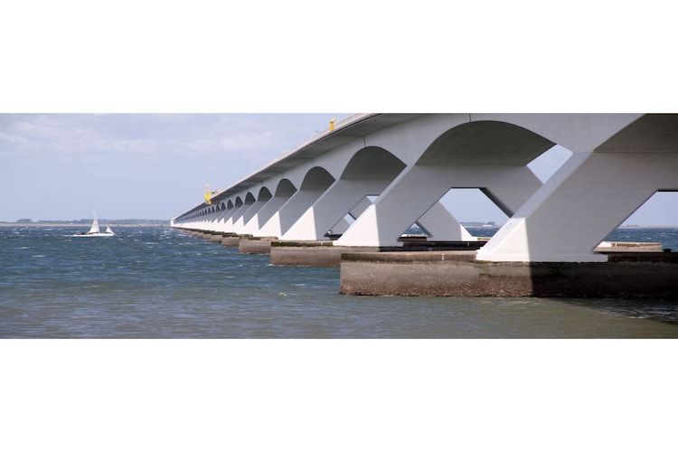 Zeeuwse Pracht  hond in Colijnsplaat - Foto 36 van 39