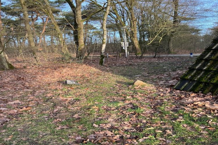 De tuin van Bungalow 69 in Stramproy