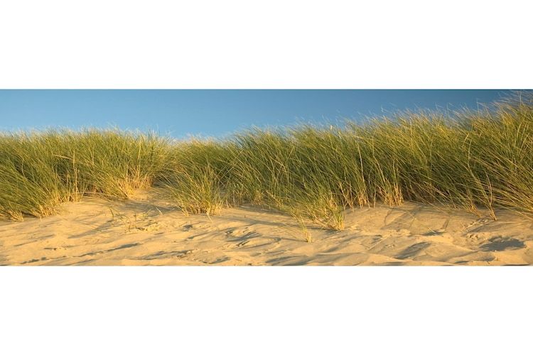 8 pers met jacuzzi in Colijnsplaat - Foto 36 van 37