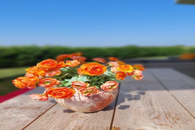 Sfeerbeeld van Water Resort Oosterschelde 51 in Wemeldinge