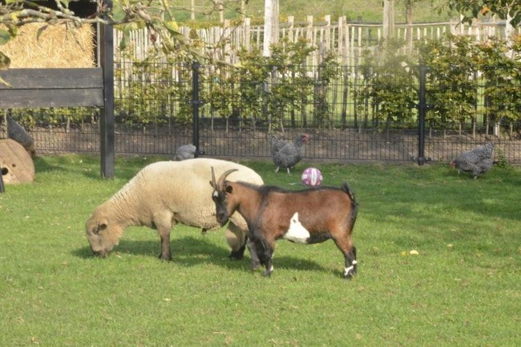 Landelijk Utrecht in Overberg - Foto 31 van 40