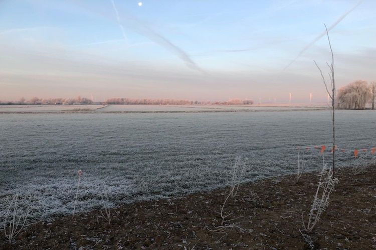 Villa Grenszicht in Megchelen - Foto 58 van 64