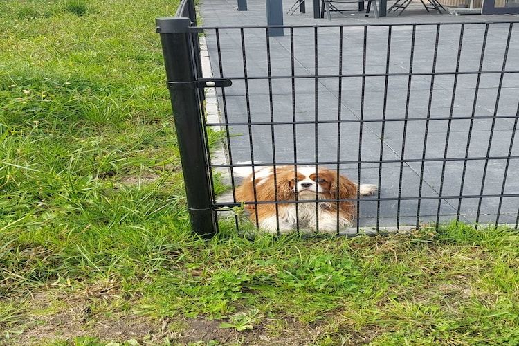 De tuin van Brabants Weelde 33 in Molenschot