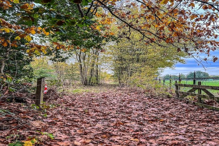 De Riek 4P in De Kiel - Foto 16 van 25