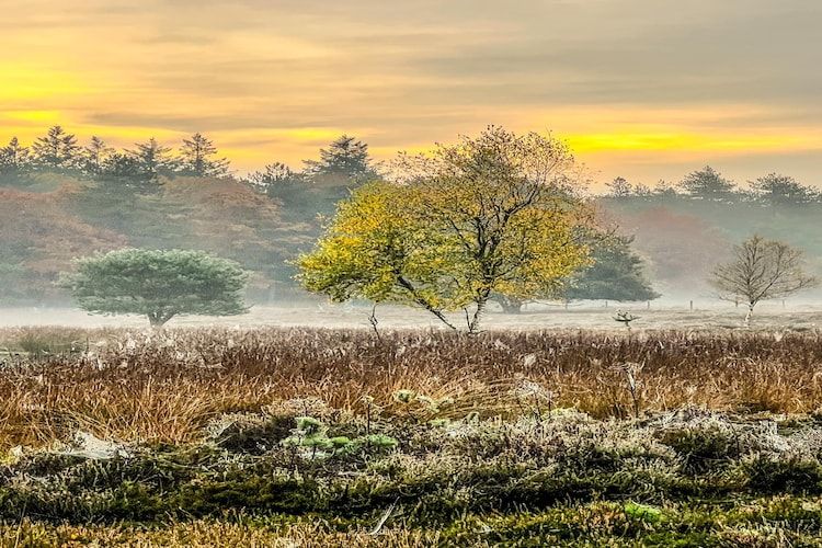 De Weide 4P in De Kiel - Foto 18 van 39