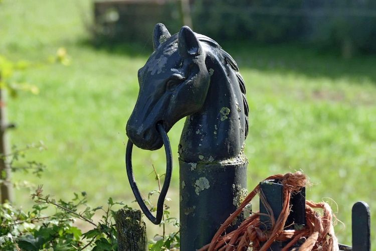 Sfeerbeeld van Meschermolen 12 in Mesch-Eijsden